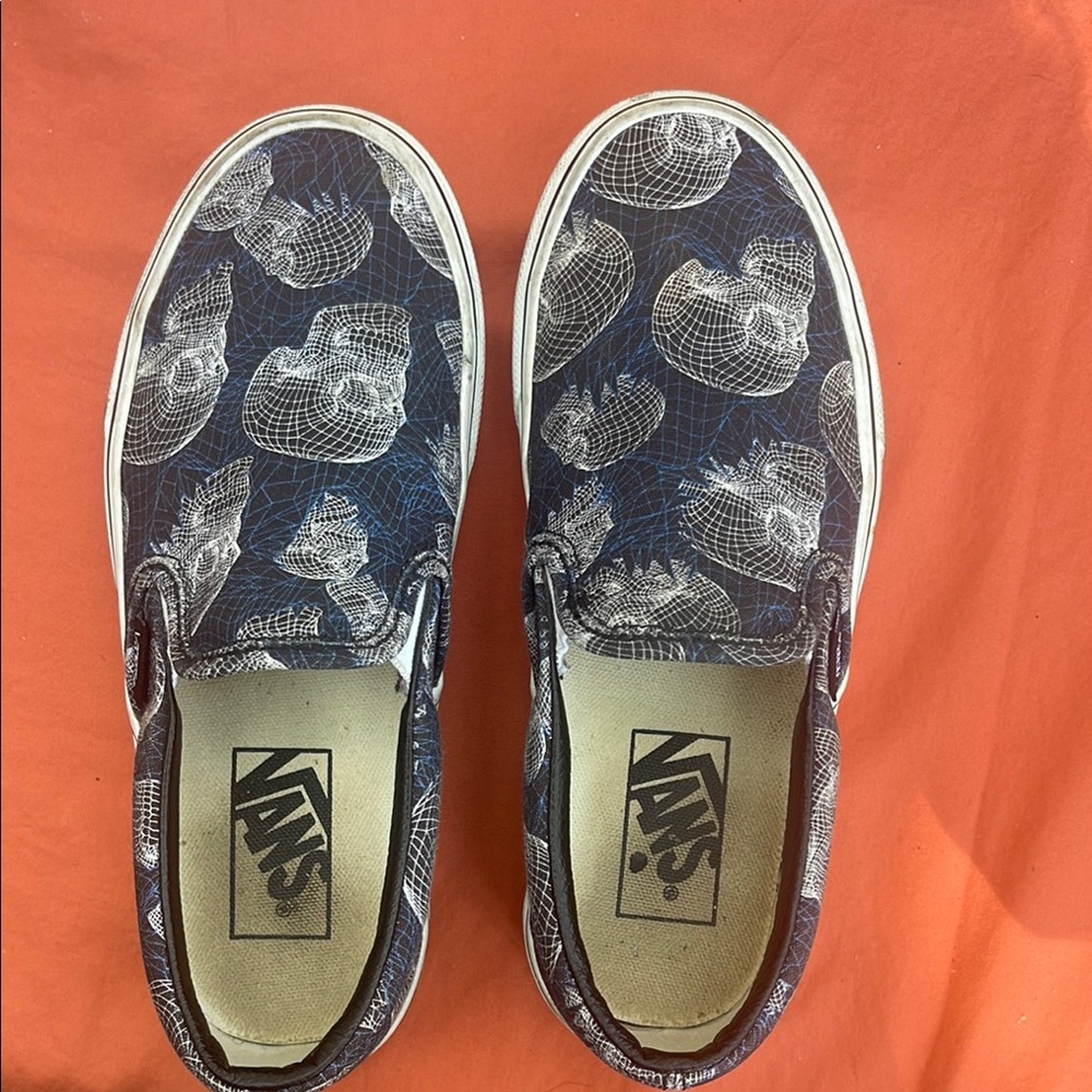 Vans Slip-On Shoes with Skull Design